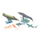 Animales del Océano Ballena Azul y Cachalote