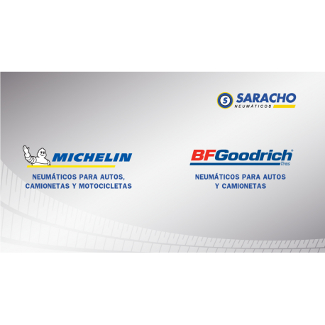Neumático 205/55 R16 91V TL Michelin Primacy 4