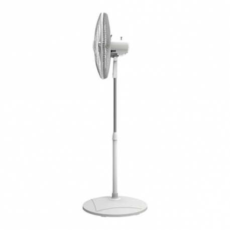 Ventilador De Techo C1519 Blanco 90 W Con Luz AUVENT - AUVENT VENTILADORES  DE TECHO - Megatone